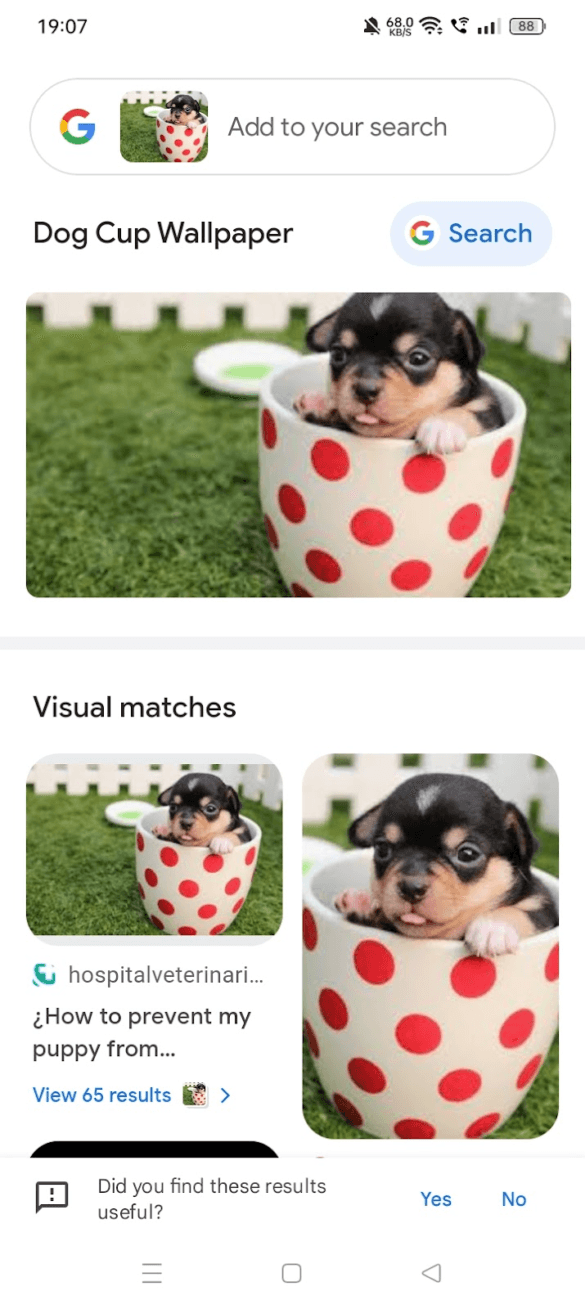 Google Reverse Image Search: Unveiling Image Sources & Attribution