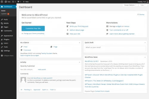 Glimpse of WordPress dashboard